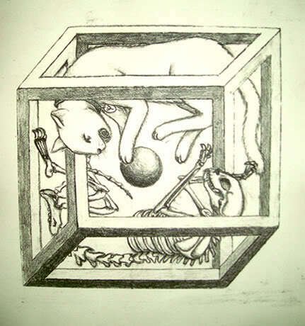 Modelo atómico de Schrodinger