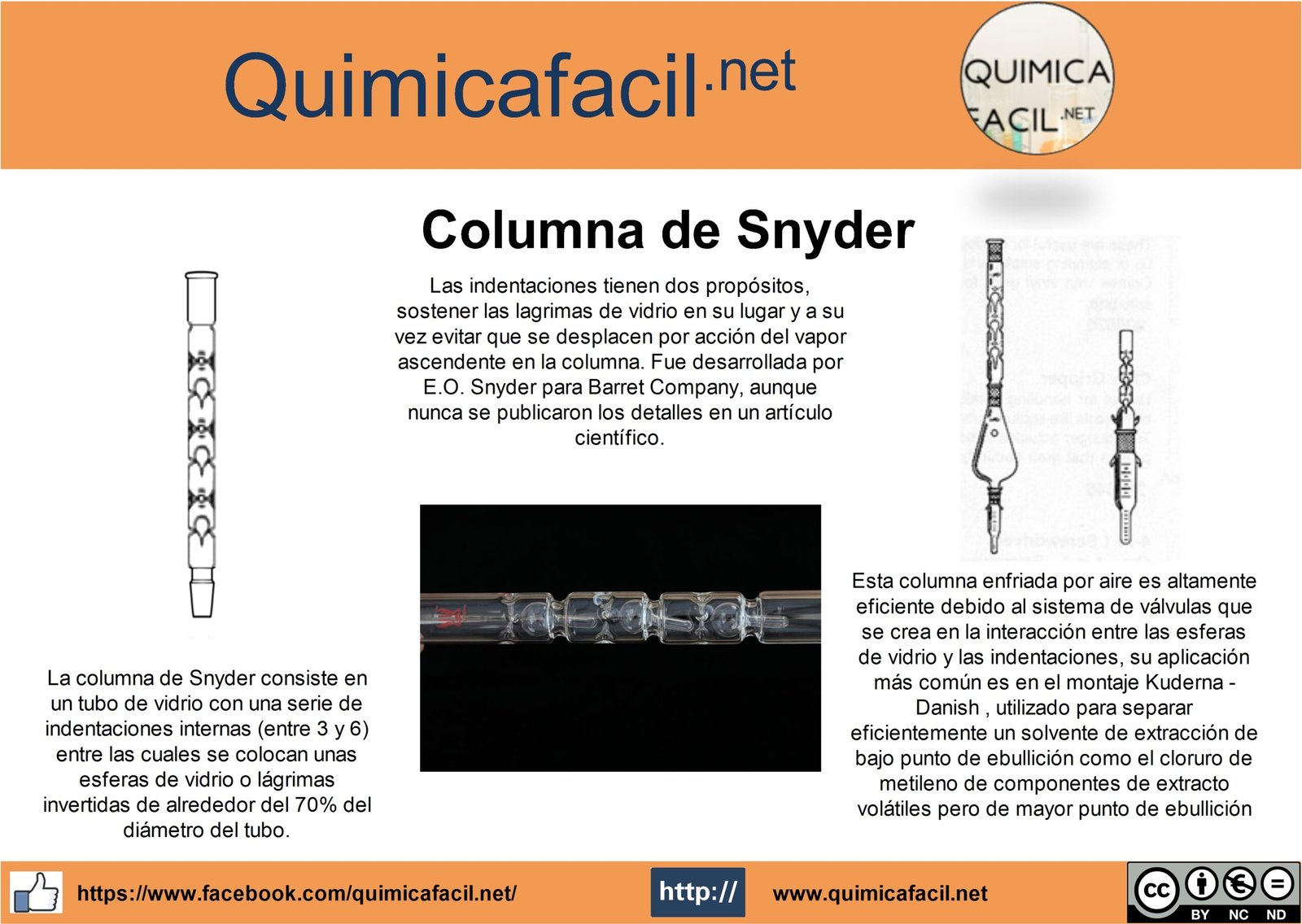 Infografía columna Snyder