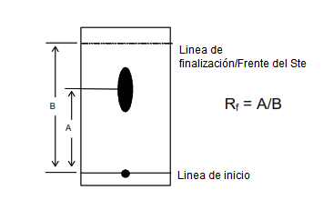 Partes de un cromatograma en papel