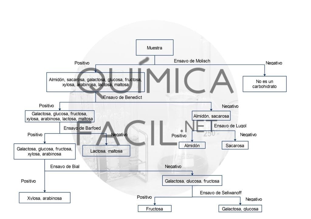 Marcha analítica para análisis de carbohidratos