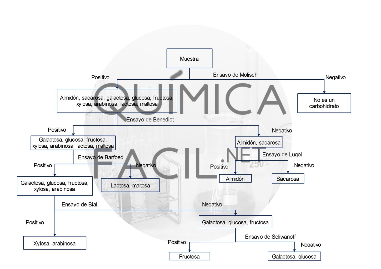 Marcha analítica para análisis de carbohidratos