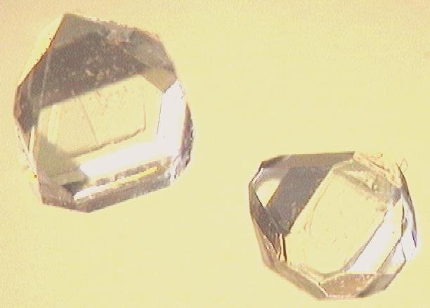 Cristales de Xilitol, atractivo por su sabor dulce