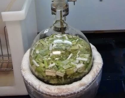 Manta de calentamiento en montaje de hidrodestilación, una alternativa para evitar zonas calientes