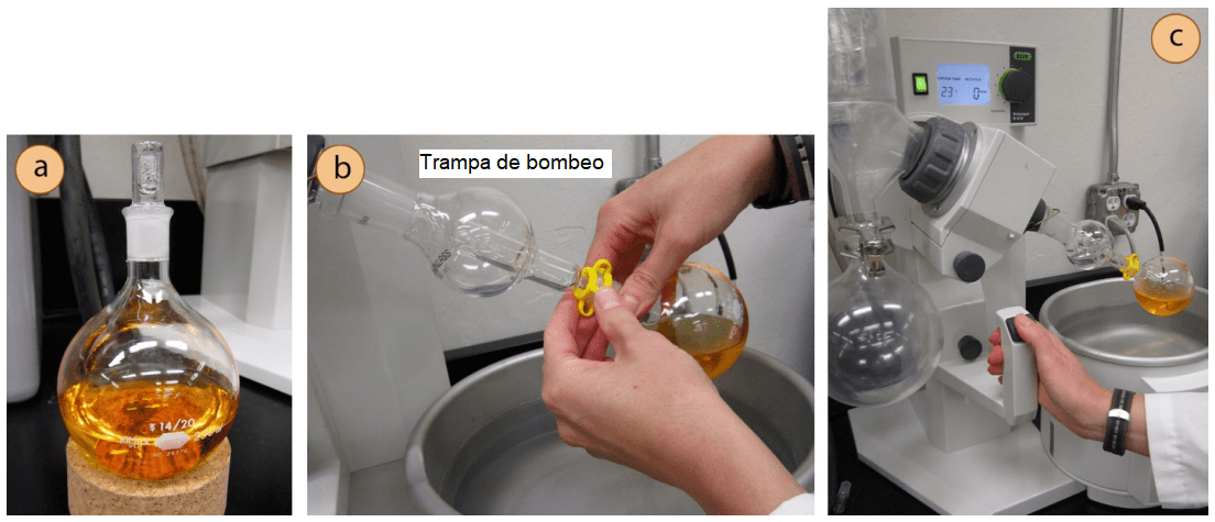 Colocación muestra evaporador rotativo