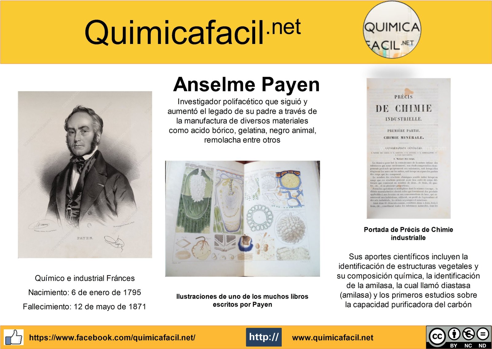 Infografia Anselme Payen