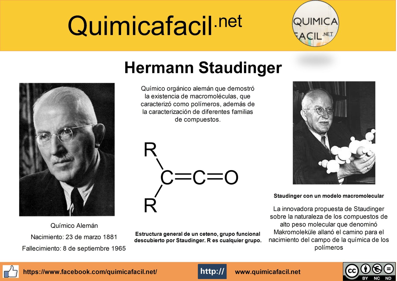 Infograf&iacute;a Hermann Staudinger