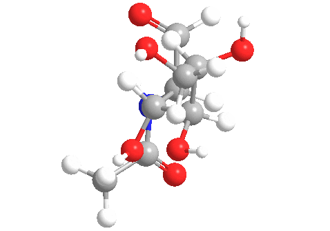 Estructura 3D de la N-acetilglucosamina