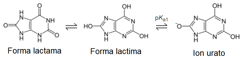 Tautomería del ácido úrico y formación del ion urato