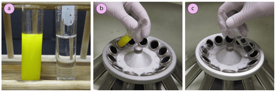 Imagen 2: a) Suspensión de yoduro de plomo (II) junto a un tubo de agua de igual volumen, b+c) Colocación de los tubos uno frente al otro