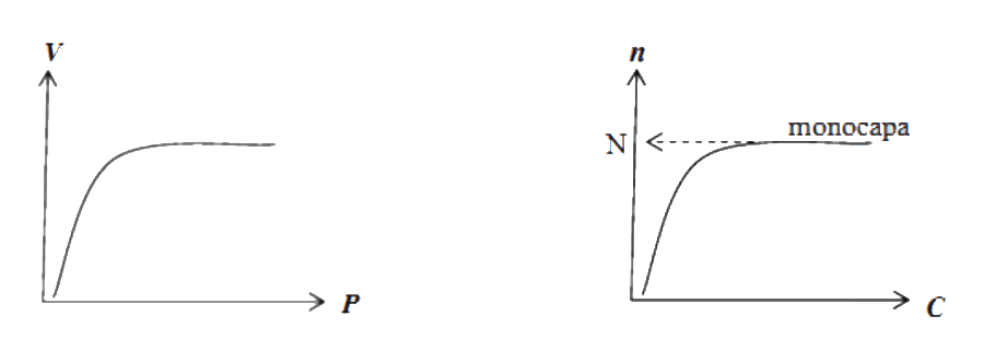 Isotermas de adsorción tipo I