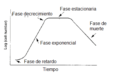 Grafica crecimiento fermentación