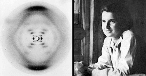 Rosalind Franklin junto y la fotografía 51