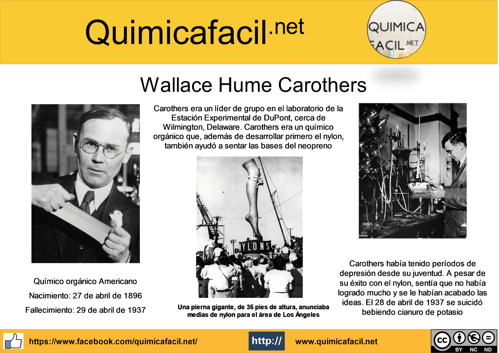 Infografía Wallace Carothers