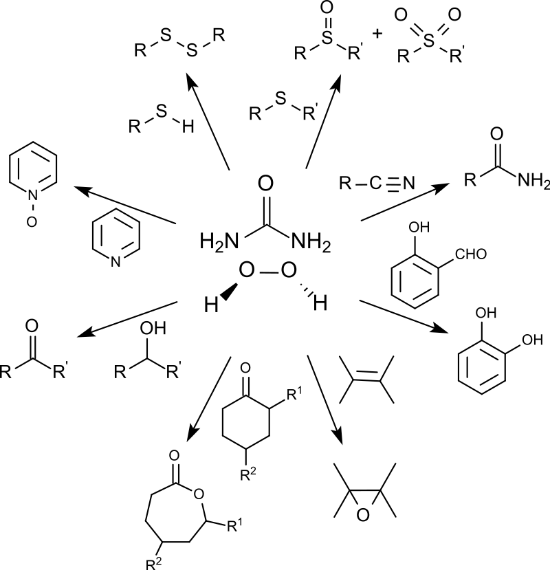Esquema de reacciones del peróxido de carbamida