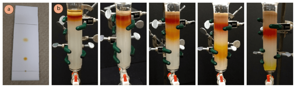 Figura 1: a) Cromatografía en capa fina de la mezcla de ferroceno/acetilferroceno, b) Cromatografía en columna