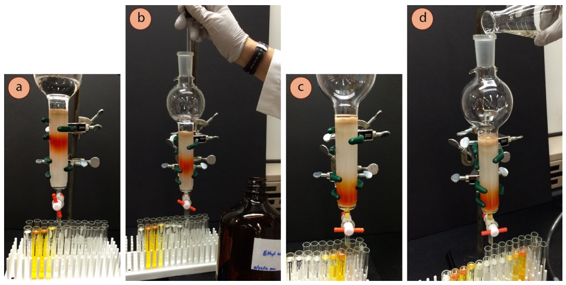 Figura 10: a) Elución, b) Adición de acetato de etilo para aumentar la polaridad del disolvente, c) Nivel de disolvente cerca de la capa de arena, d) Relleno.