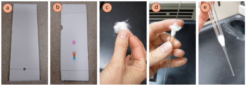Figura 2: a) Tinte púrpura manchado en la línea de base de una placa de TLC, b) después de la elución, c-e) Inserción de algodón en la punta de la pipeta.