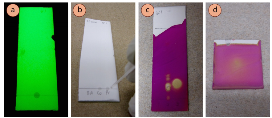 Figura 1: a) Usando una lámpara ultravioleta para ver si se sembró suficiente muestra antes de la elución, b) sembrado múltiple, c) TLC visualizado con KMnO4 (el 2-penteno estaba en el carril 1 y no se vio), d) 2-penteno no diluido teñido en una placa de TLC de desecho y visualizado con KMnO4.
