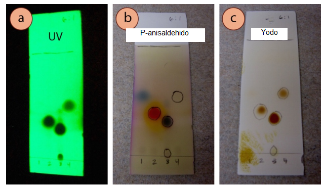 Figura 2: Cuatro compuestos eluidos con hexano: acetato de etilo 6:1 y visualizados con 3 métodos: a) UV, b) p-anisaldehído, c) yodo. Los compuestos eran: #1: 4-heptanona, #2: acetofenona, #3: cinamaldehido, y #4: benzoato de etilo.
