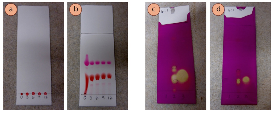 Figura 6: a) Antes de la elución de las muestras de colorante alimentario rojo a diferentes diluciones acuosas, b) Después de la elución, c) Muestras de alquenos y alquinos demasiado concentrados (visualizados con el tinte KMnO4, d) Muestras de alquenos y alquinos a la dilución adecuada.