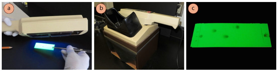 Figura 1: a) Inclinar una lámpara UV para visualizar una placa de TLC, b) Caja para proteger los ojos de los daños causados por los rayos UV, c) Apariencia bajo los rayos UV.
