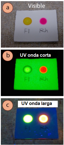 Figura 2: Soluciones de fluoresce&iacute;na y rodamina B vistas con: a) Luz visible, b) UV de onda corta, c) UV de onda larga.