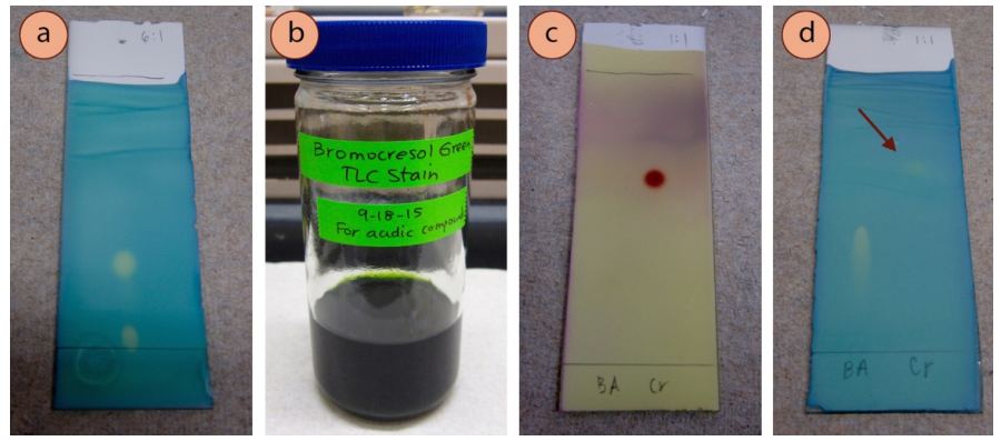 Figura 10: a) Una placa te&ntilde;ida de verde de bromocresol, b) Tarro de tinte de verde de bromocresol, c) &Aacute;cido benzoico (carril 1) y p-cresol (carril 2) te&ntilde;ido con p-anisaldeh&iacute;do para mostrar la posici&oacute;n del p-cresol, d) La misma placa te&ntilde;ida de verde de bromocresol (el p-cresol es muy d&eacute;bil y se indica con una flecha).