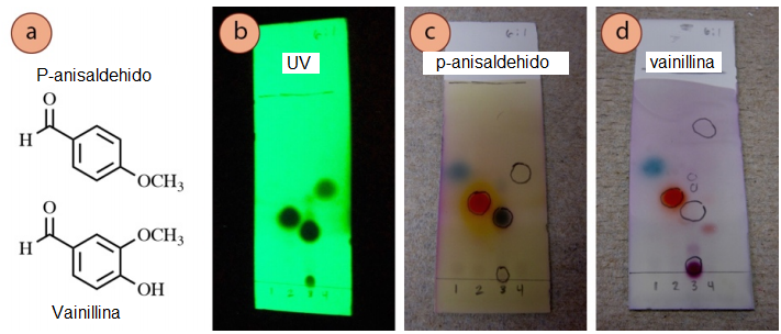 Figura 3: a) Estructuras de p-anisaldeh&iacute;do (arriba) y vainillina (abajo). 4-Heptanona (carril 1), acetofenona (carril 2), cinamaldehido (carril 3) y benzoato de etilo (carril 4) visualizados con: b) luz UV, c) tinci&oacute;n de p-anisaldeh&iacute;do, d) tinci&oacute;n de vainillina.