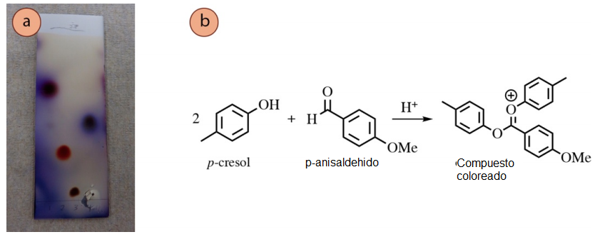 Figura 6: a) TLC de varios fenoles visualizados con la tinci&oacute;n de p-anisaldeh&iacute;do, b) Reacci&oacute;n propuesta de p-cresol (carril 2) con la tinci&oacute;n.
