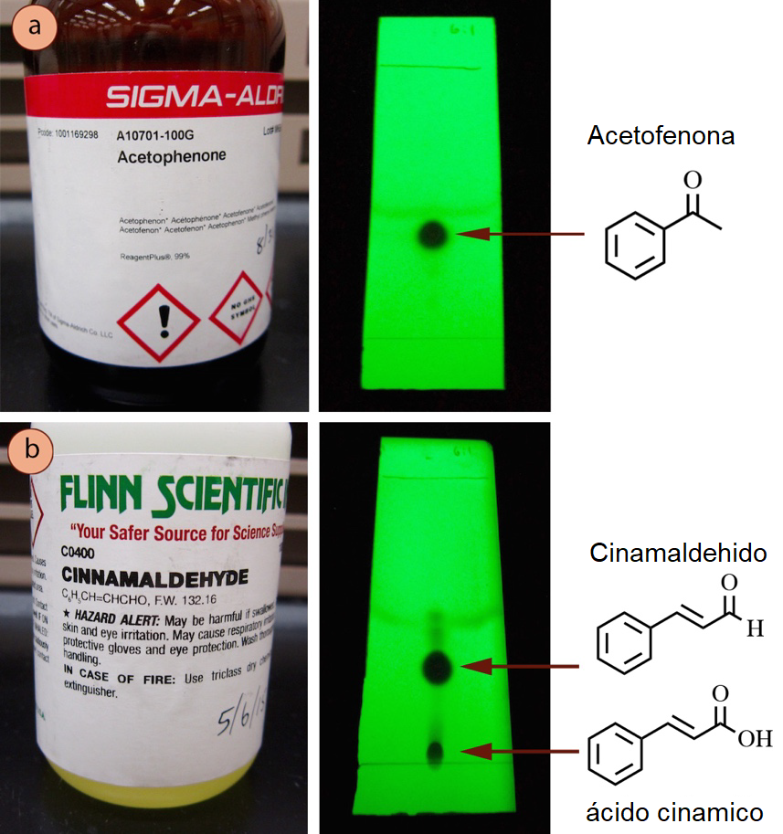 Figura 4: Placas de TLC eludidas visualizadas con luz UV de: a) Acetofenona, b) Cinamaldehido