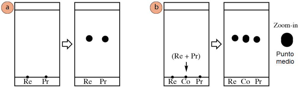 Figura 6: a) Dos compuestos con valores de Rf similares (Re significa reactivo y Pr significa producto), b) Cómo puede aparecer el carril de co-spot si el carril del reactivo y el del producto contienen compuestos diferentes.