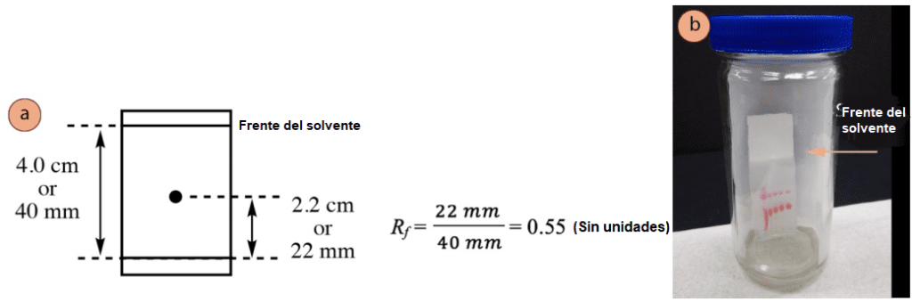Figura 1: a) Ejemplo de c&aacute;lculo de Rf, b) Apariencia del frente del disolvente en una placa de TLC eluyente.