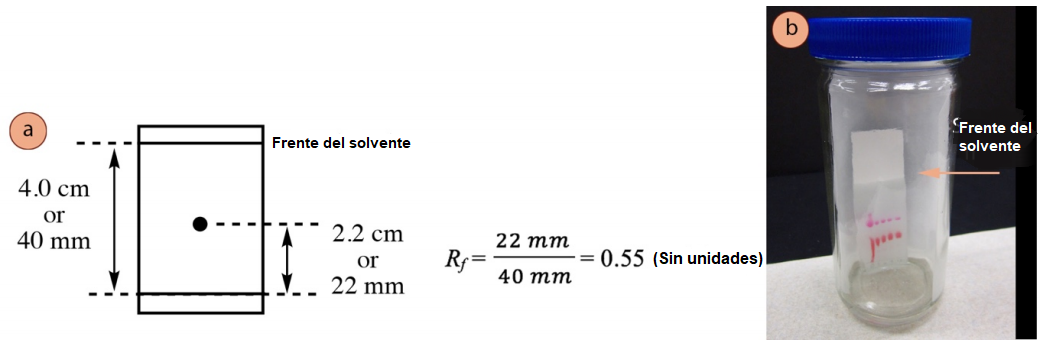 Figura 1: a) Ejemplo de cálculo de Rf, b) Apariencia del frente del disolvente en una placa de TLC eluyente.