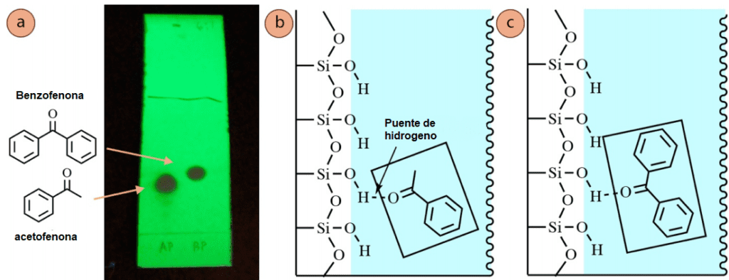Figura 6: a) Placa de TLC de acetofenona (carril 1) y benzofenona (carril 2), utilizando mezcla de hexanos: acetato de etilo 6:1 y visualizaci&oacute;n con luz UV. Interacci&oacute;n con la fase estacionaria y: b) Acetofenona, c) Benzofenona.