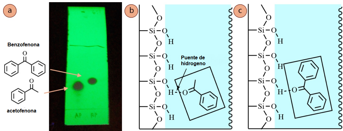 Figura 6: a) Placa de TLC de acetofenona (carril 1) y benzofenona (carril 2), utilizando mezcla de hexanos: acetato de etilo 6:1 y visualización con luz UV. Interacción con la fase estacionaria y: b) Acetofenona, c) Benzofenona.
