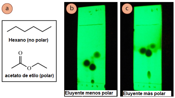Figura 7: a) Estructuras de hexano y acetato de etilo, b) Tres compuestos visualizados por la luz UV y ejecutados con mezclas de hexanos: acetato de etilo 6:1, c) Los mismos tres compuestos con una proporci&oacute;n de 3:2 (m&aacute;s polar).