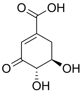 Estructura química del ácido 3-dehidroshikímico.