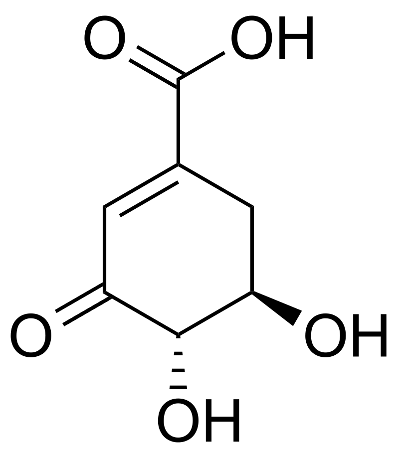 Estructura química del ácido 3-dehidroshikímico.