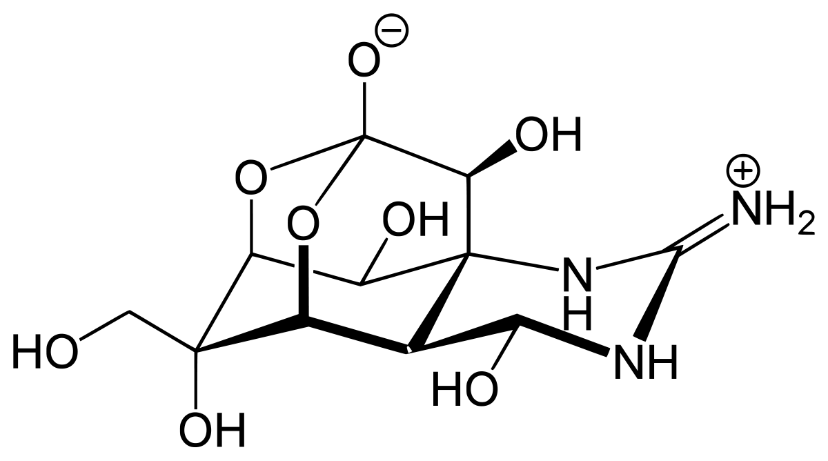 Estructura de la tetrodotoxina