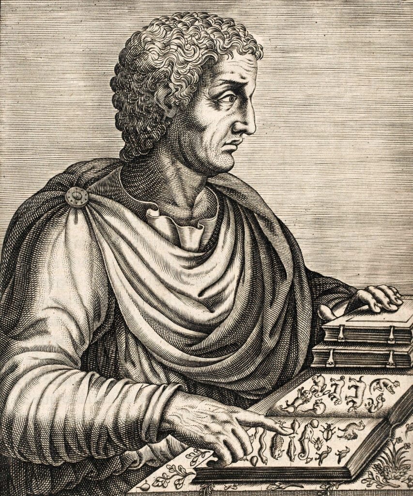 Plinio el viejo