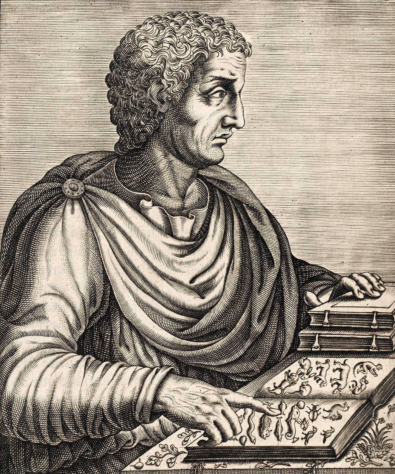 Plinio el viejo