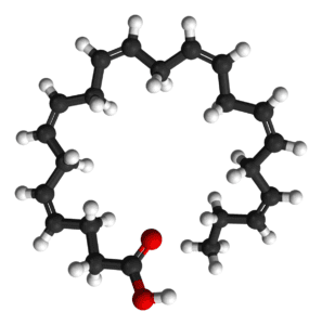 Ácido docosahexaenoico (DHA)