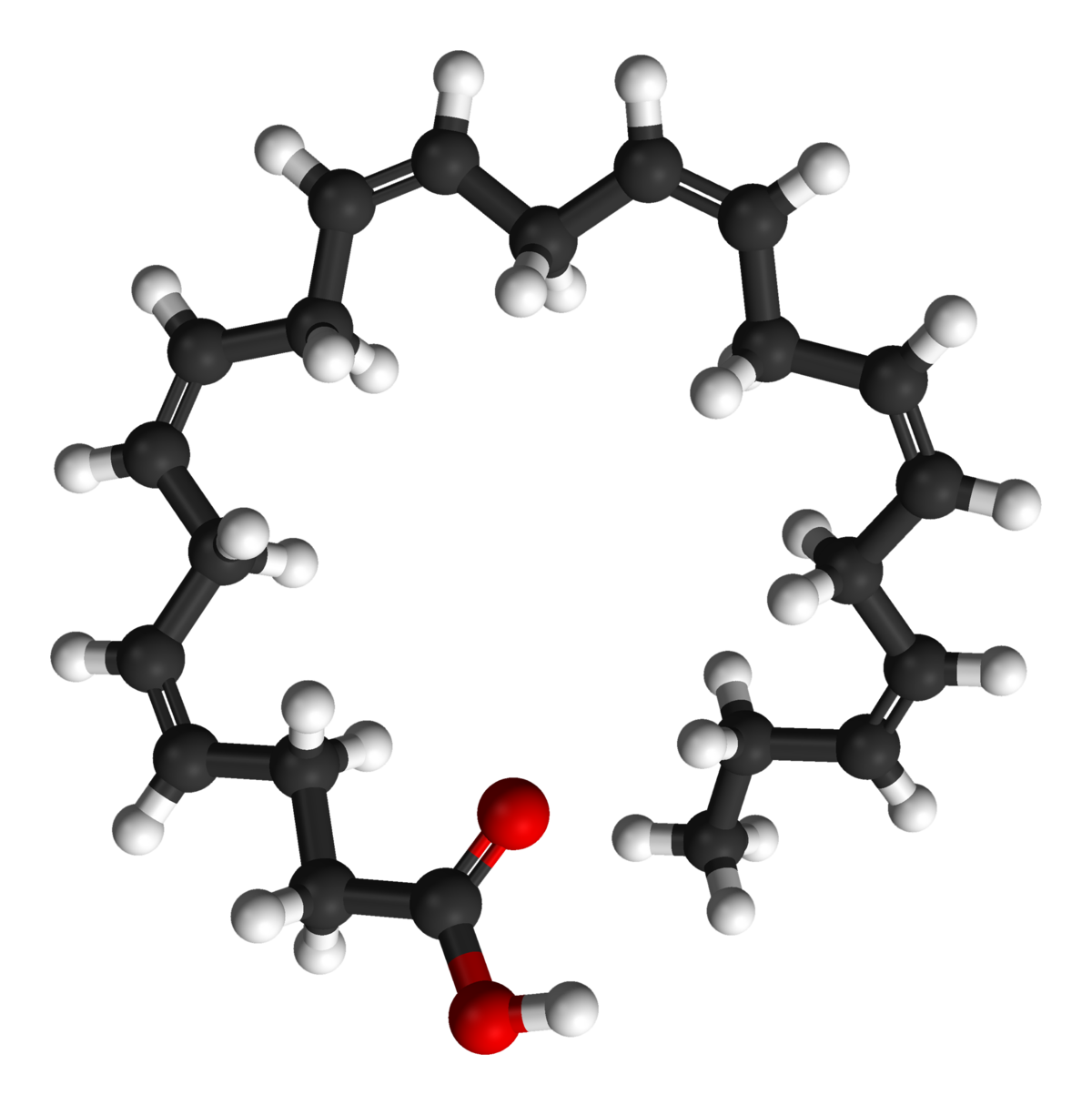 Ácido docosahexaenoico (DHA)