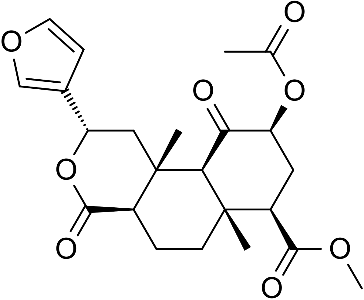 Estructura de la salvinorina A, molécula esquiva para Hofmann
