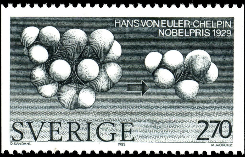 Sello postal de Suecia en Honor a Euler-Chelpin - 1983