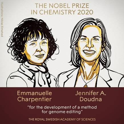 Premio Nobel de química 2020
