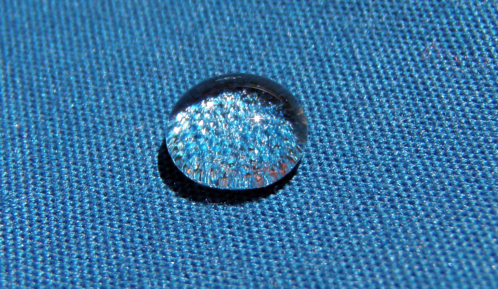 Tensión superficial. Imagen: Wikipedia