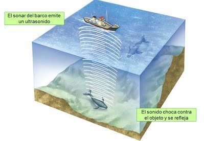 Sonar. Imagen: Google Sites