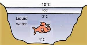 Las capas de hielo actuan como aislante permitiendo la vida