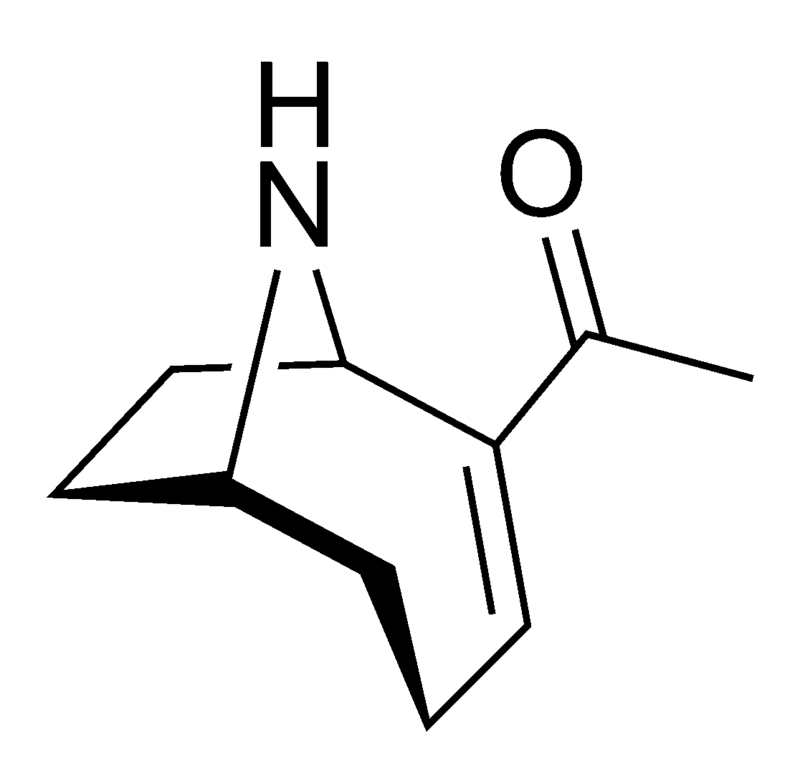 Estructura 2D de la anatoxina-A